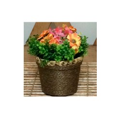 Coleção SWEET - Arranjo Médio