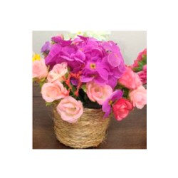 Coleção Monet - POCKET : 12 cm altura X 07cm largura